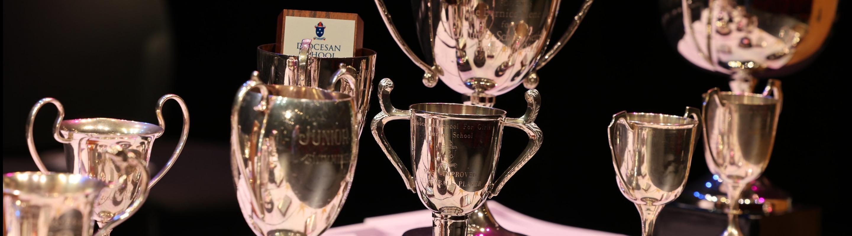 Diocesan 2021 Prizegiving Results