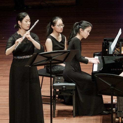 NZCT Chamber Music Competition  district finals